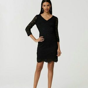 NWT Loft black lace dress